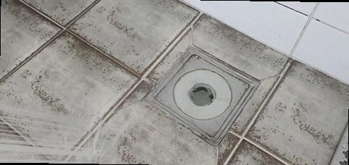 서해구·검단구 검암동 하수구막힘 배관 청소 계약 반복 막힘을 줄인 현장 해결 순서
